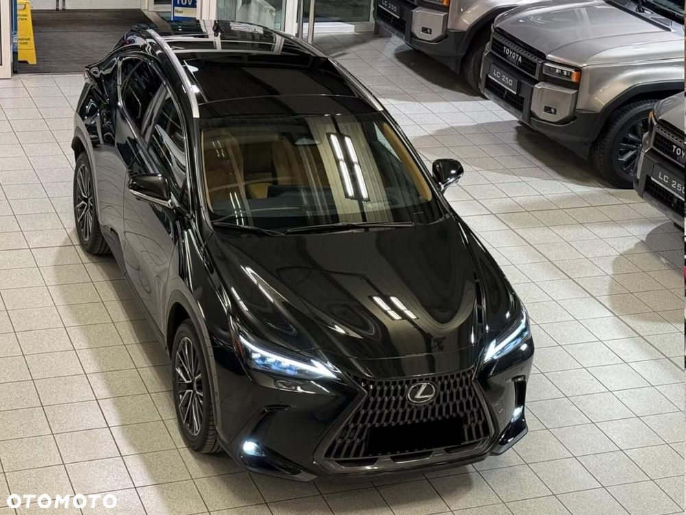 Lexus NX - 10