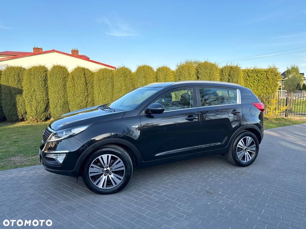 Kia Sportage - 14