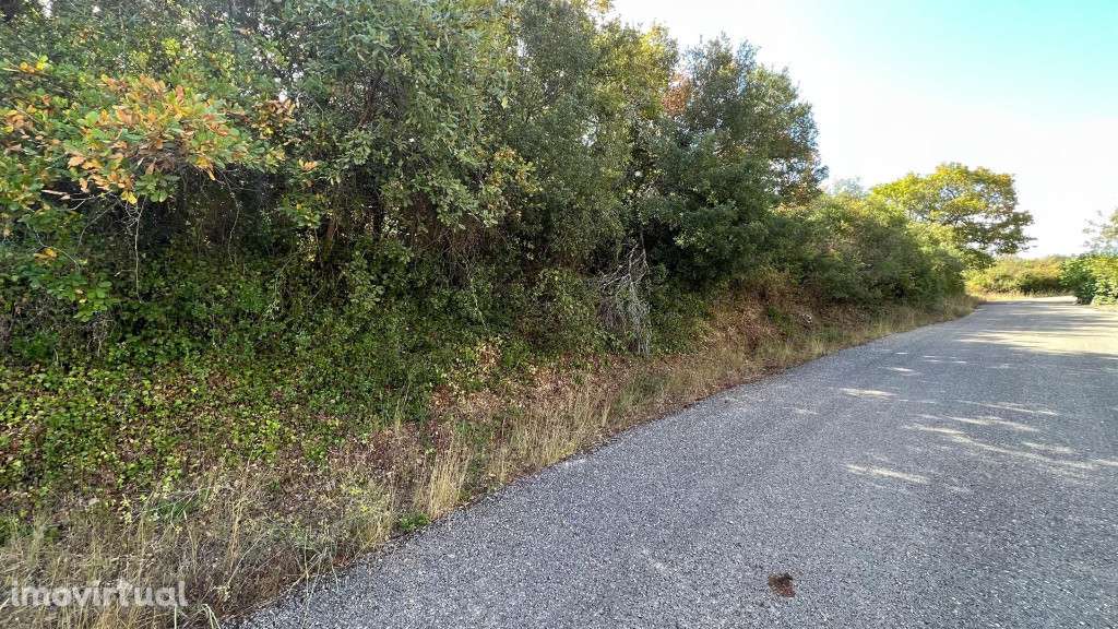 Terreno para construção, Cernache - Grande imagem: 2/3