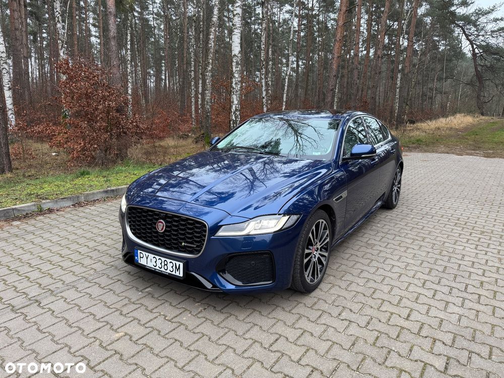Jaguar XF P300 AWD R-Dynamic S - 1