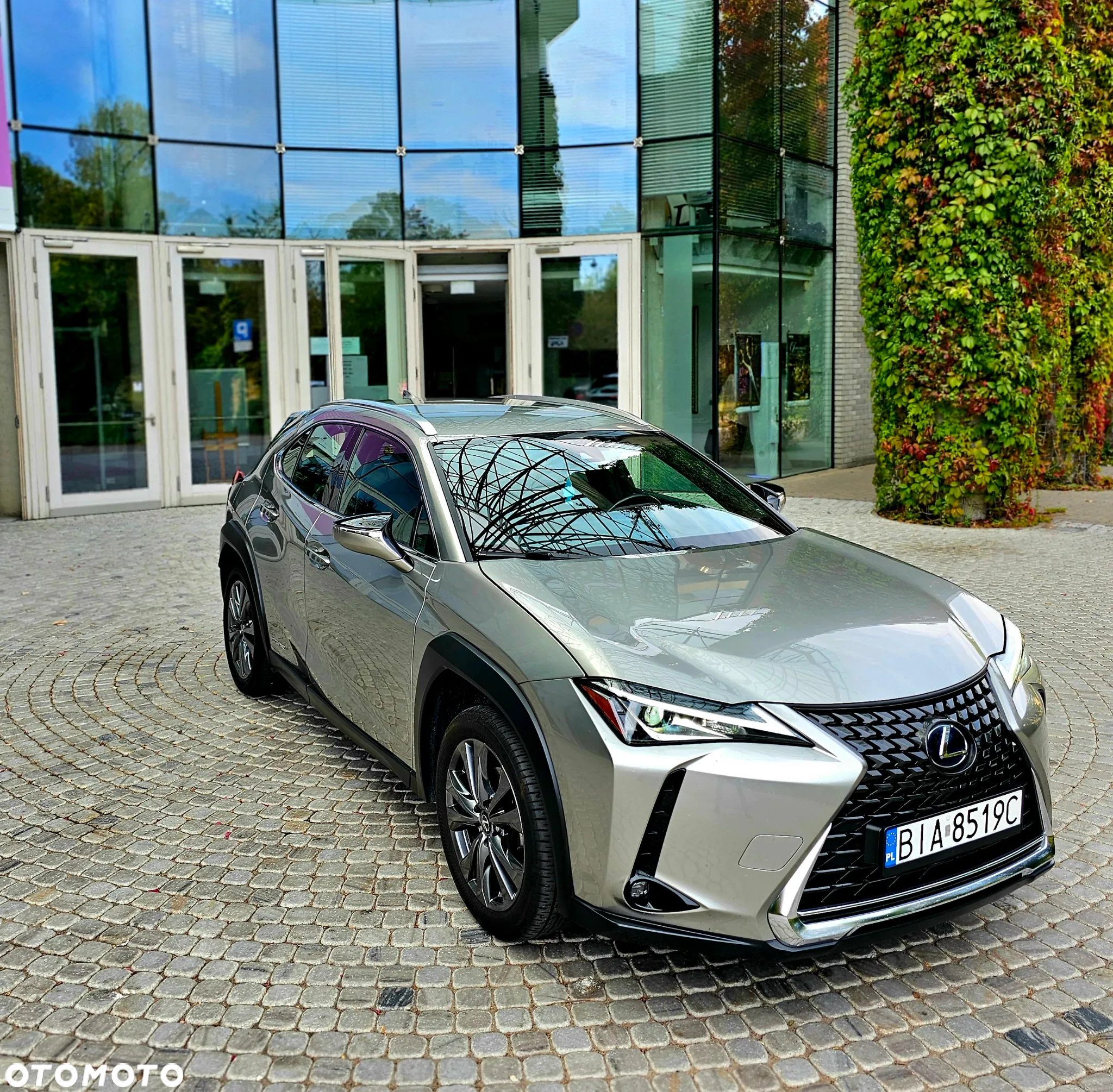 Lexus UX 250h GPF Elegance 2WD - 7