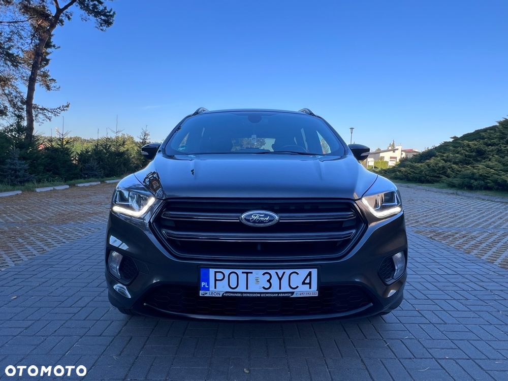 Ford Kuga 2019 photo 3
