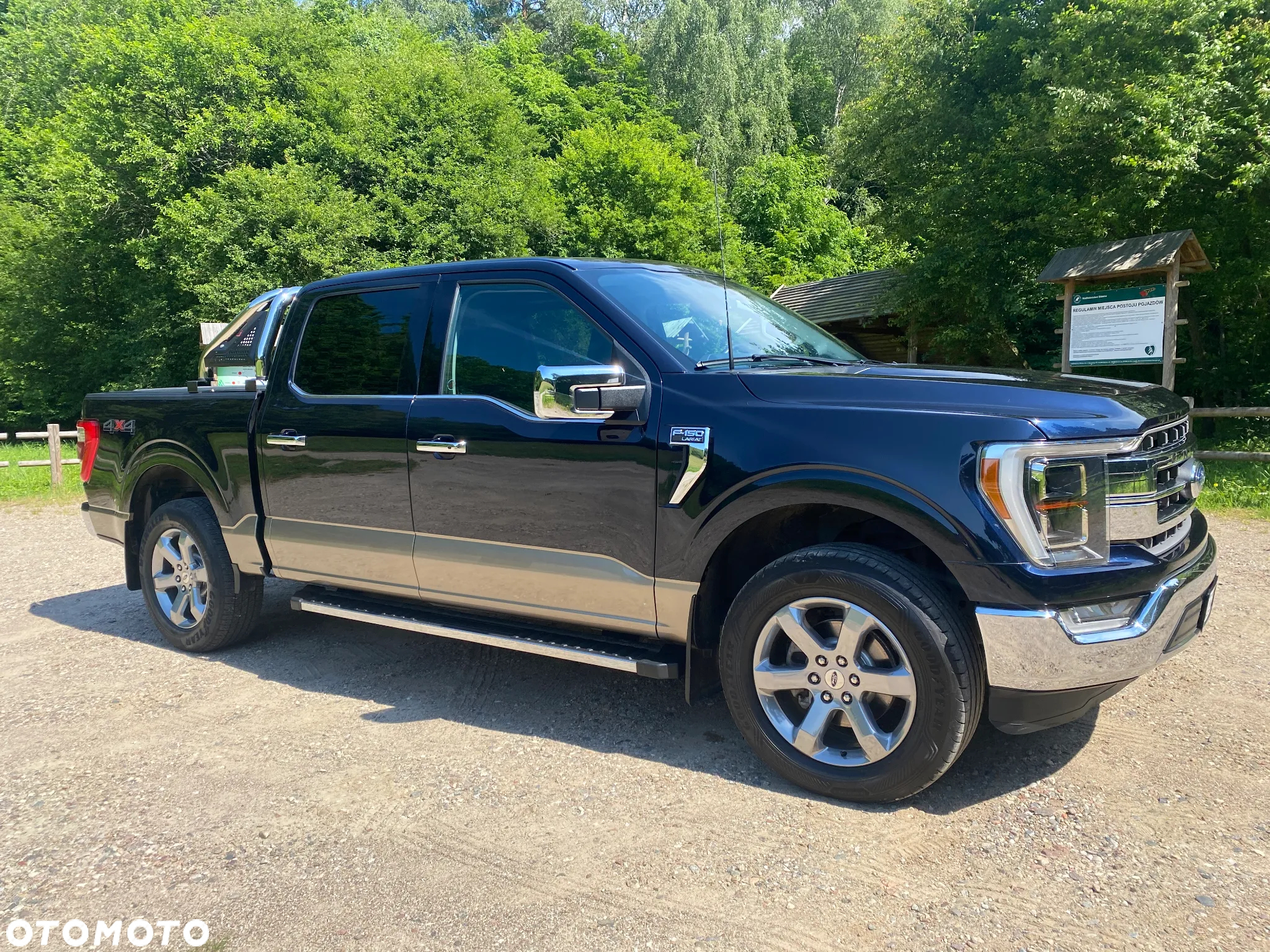 Ford F150 - 6