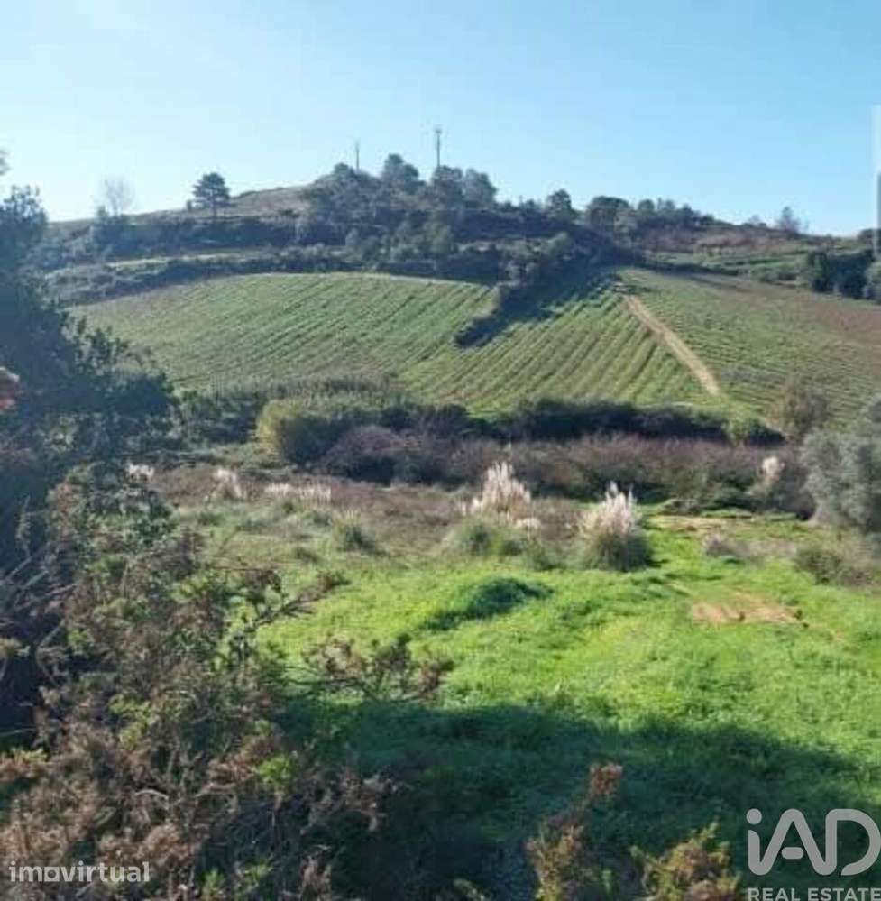 Terreno em Turcifal de 100000,00 m2 - Grande imagem: 3/11