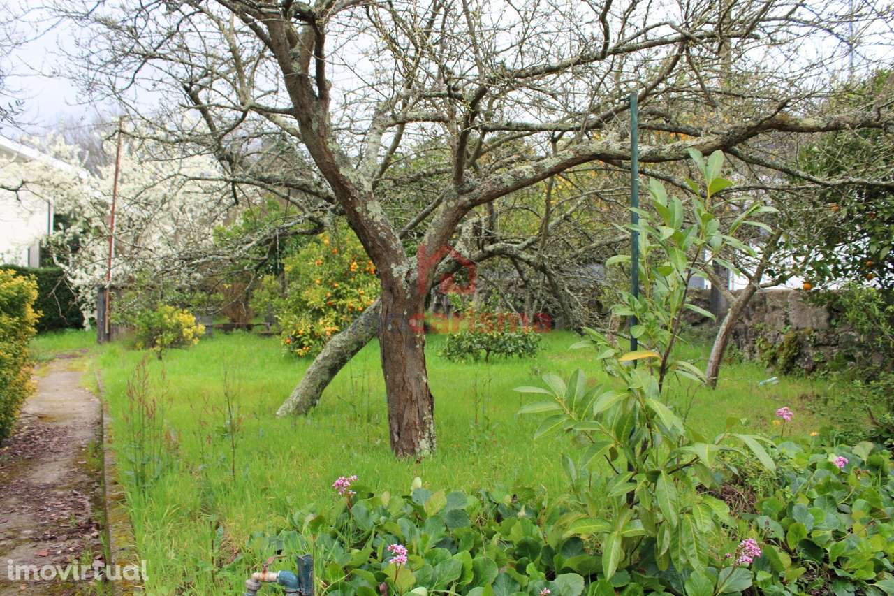 Terreno para construção com 600m² em São Martinho do Campo, Santo Tirs - Grande imagem: 5/13