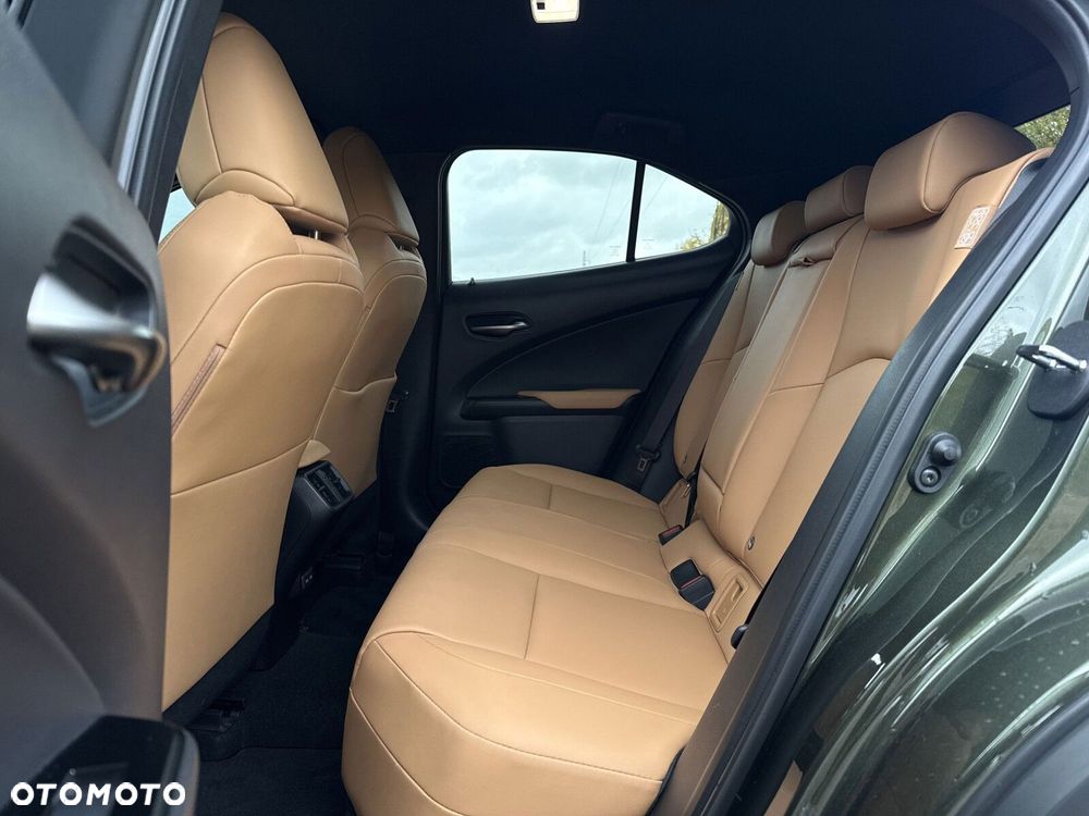 Lexus UX - 18