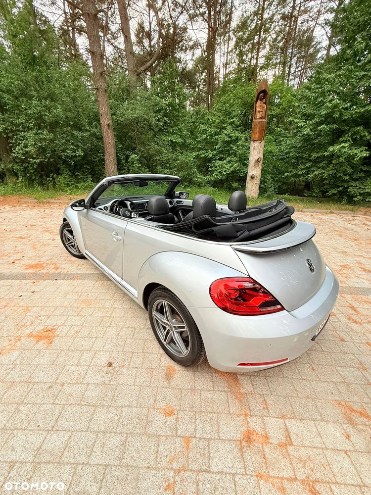 Volkswagen Beetle - 7