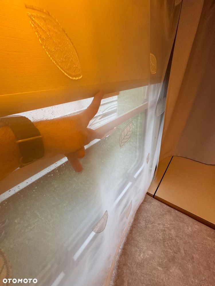 Fendt Topas 620 - 16