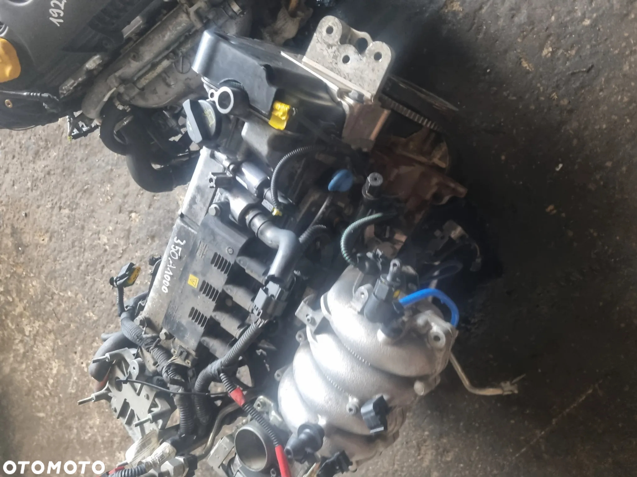 Silnik Fiat Grande Punto 1.4 8v 77km 350A1000 - 3