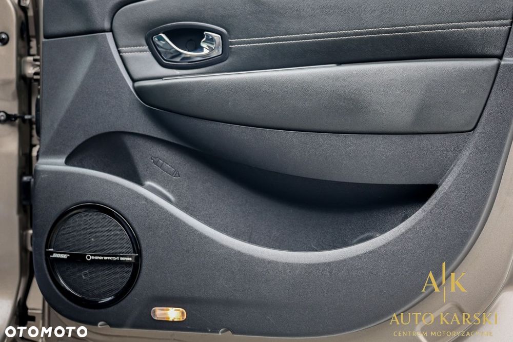 Renault Scenic - 19