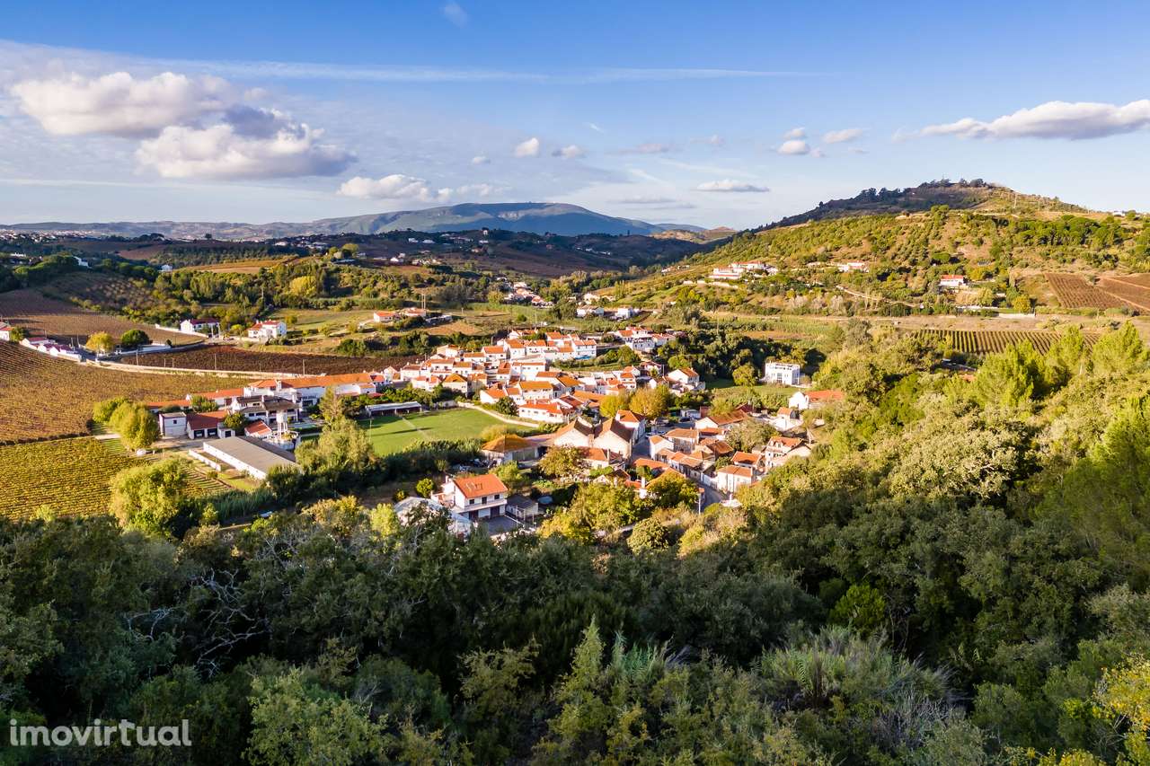 TERRENO RUSTICO | MECA | ALENQUER | 6000M2 - Grande imagem: 5/5