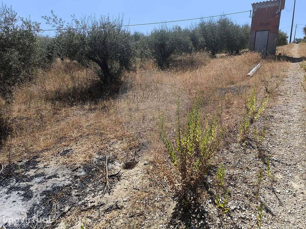 Terreno  para venda - Grande imagem: 3/16