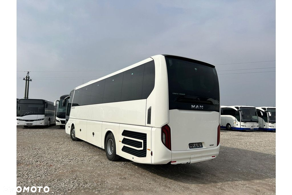 MAN Lions Coach - 19
