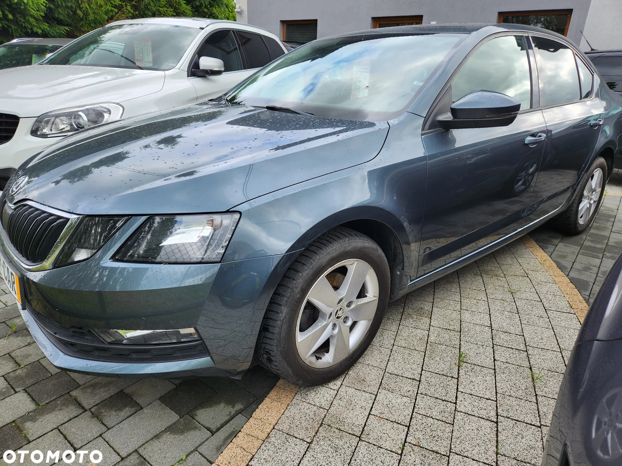 Skoda Octavia 1.6 TDI Business - 2