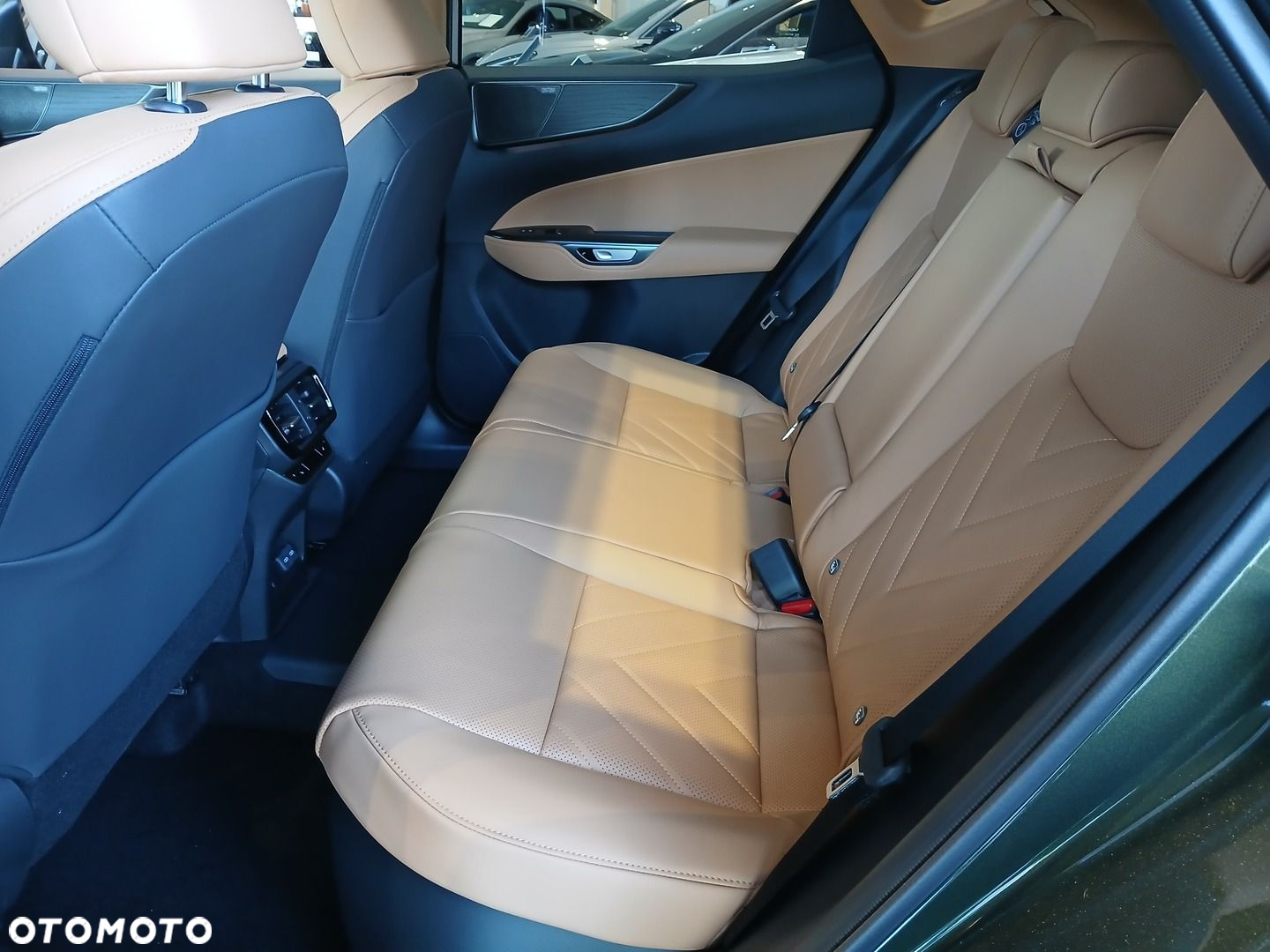 Lexus NX - 20