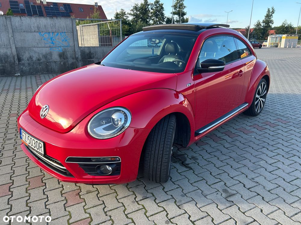 Volkswagen Beetle - 25