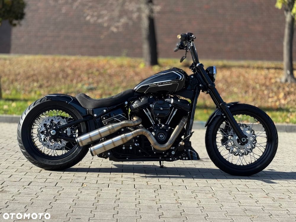 Harley-Davidson Softail Standard - 1