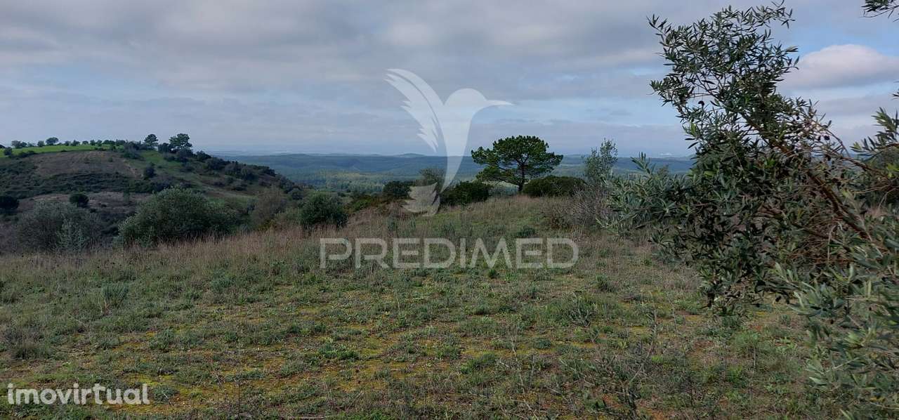 Terreno Rústico com 25.560 m2, conselho de Santarém. - Grande imagem: 2/24