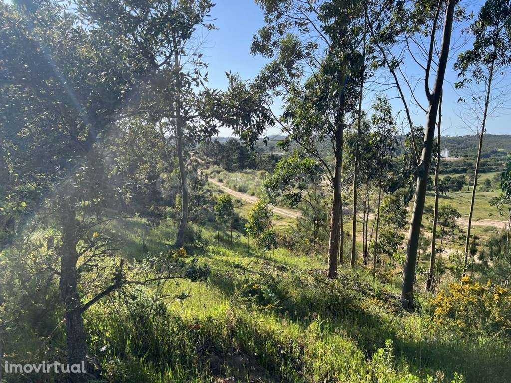 Terreno com loteamento, com 214760m2, perto da entrada da A8, em To... - Grande imagem: 3/24