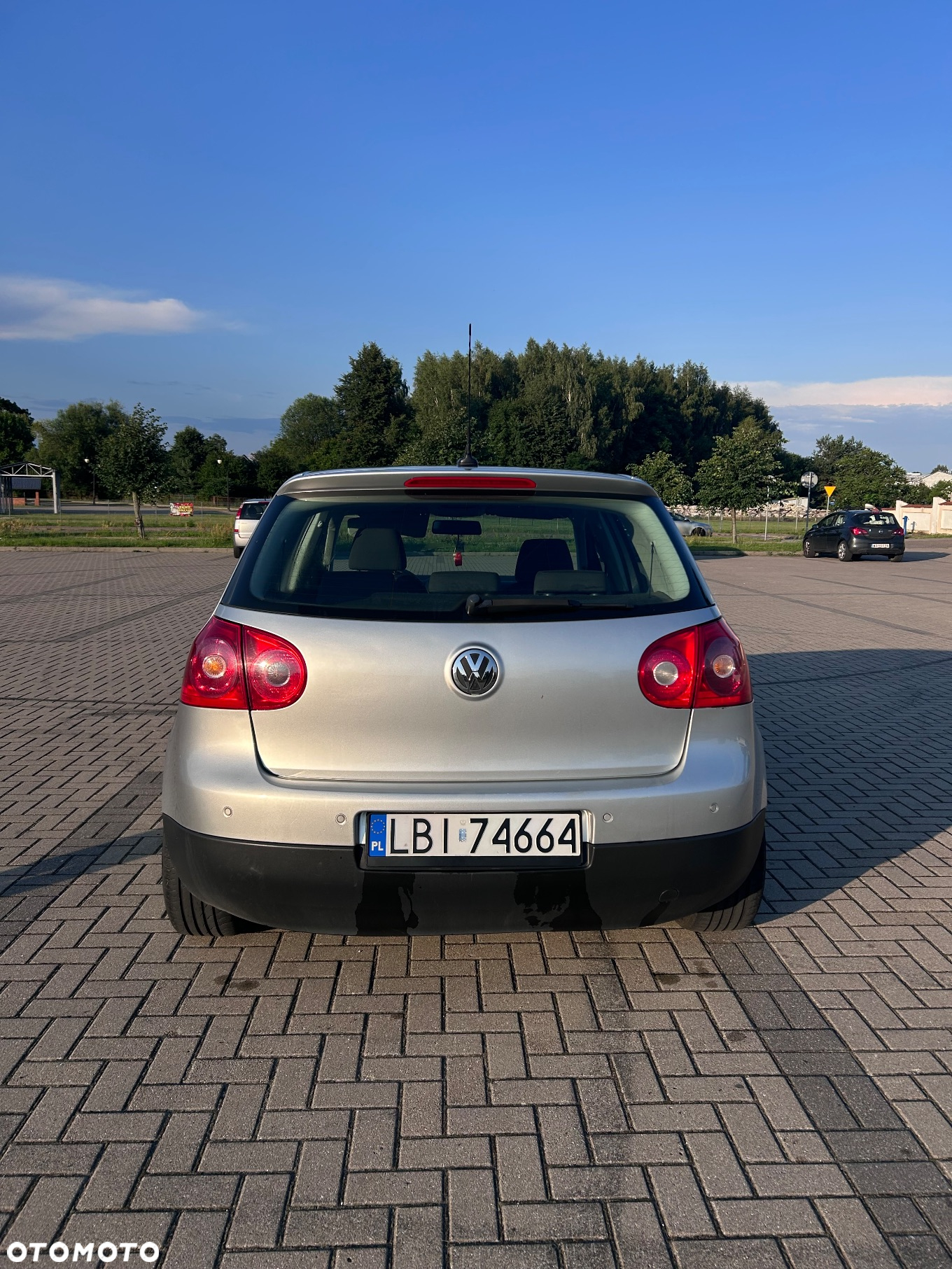 Volkswagen Golf V 1.9 TDI 4Mot Trendline - 4