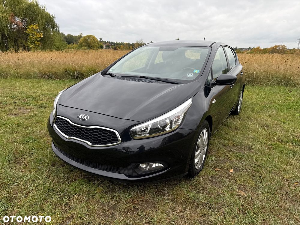 Kia Ceed - 1