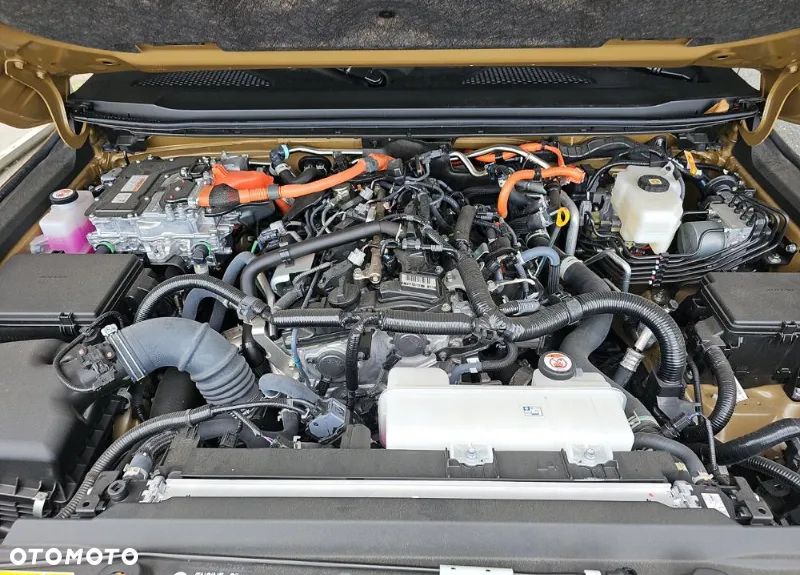 Toyota Land Cruiser - 14