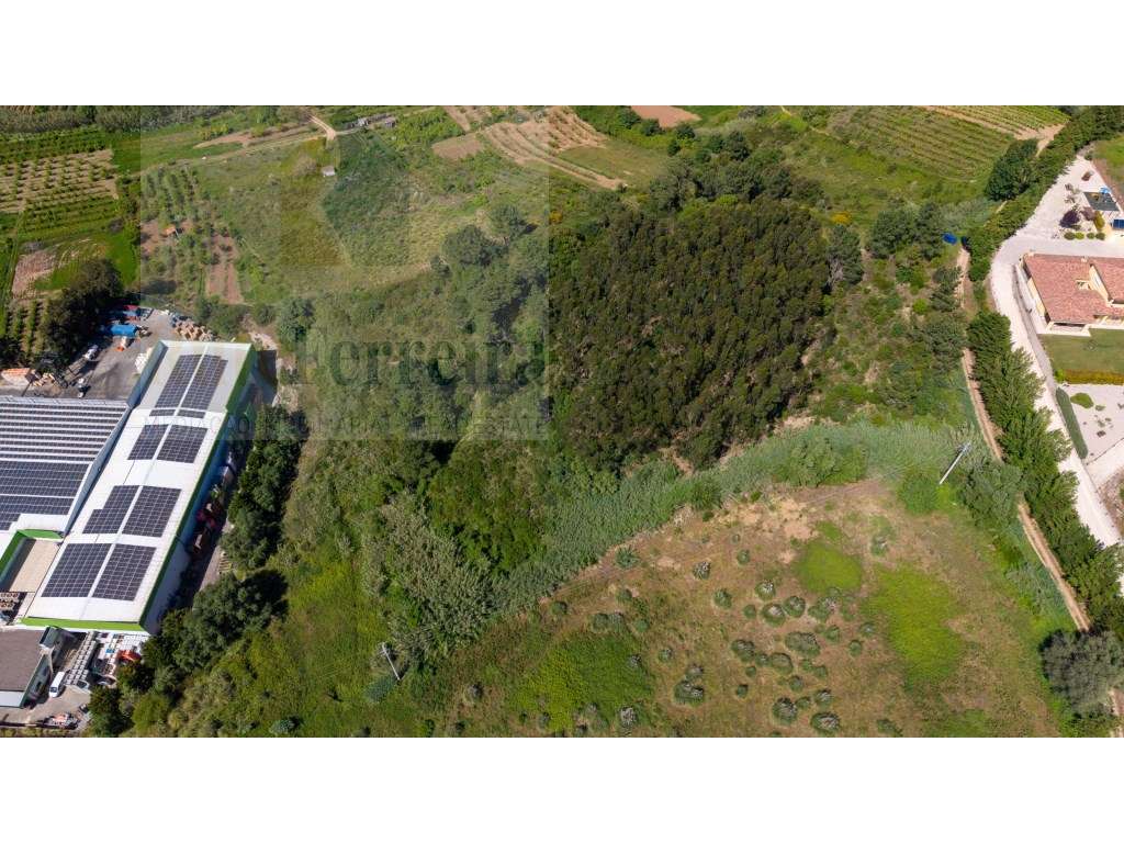 Terreno com mais de 1ha com grande área para construção - Grande imagem: 2/5