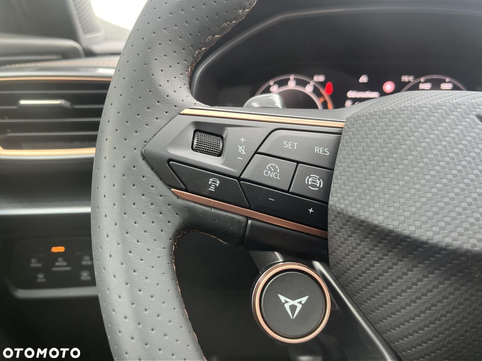 Cupra Formentor - 28