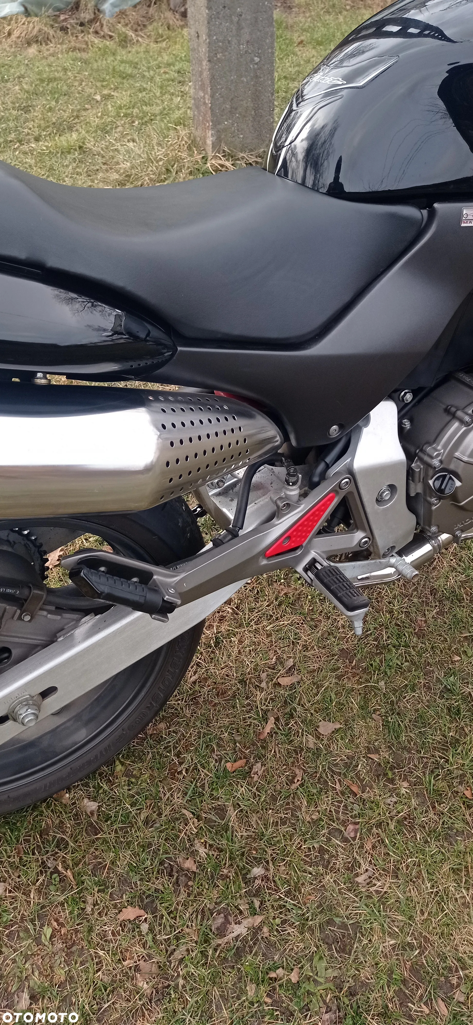 Honda Hornet - 19