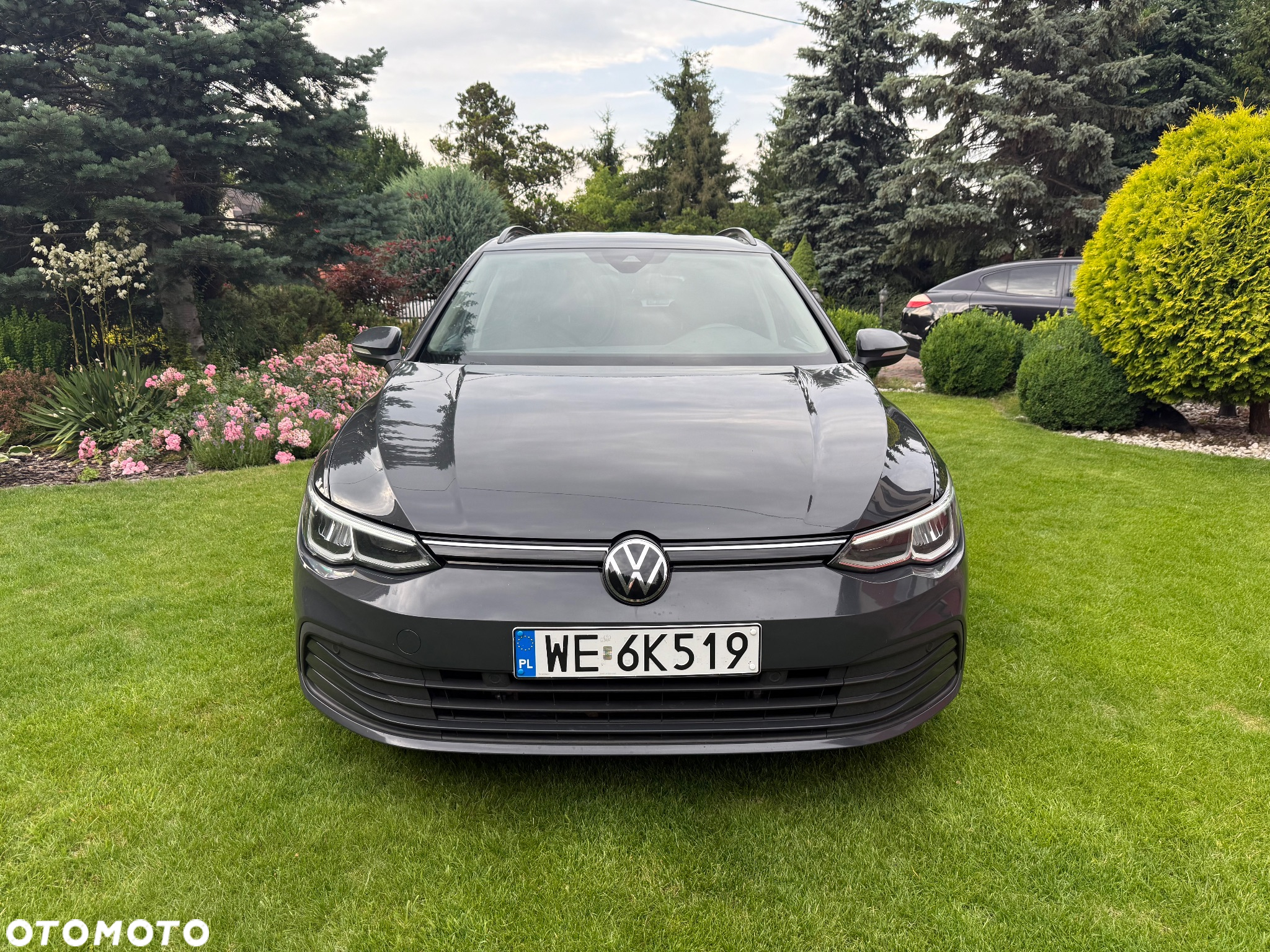 Volkswagen Golf VIII 1.0 TSI Life - 3