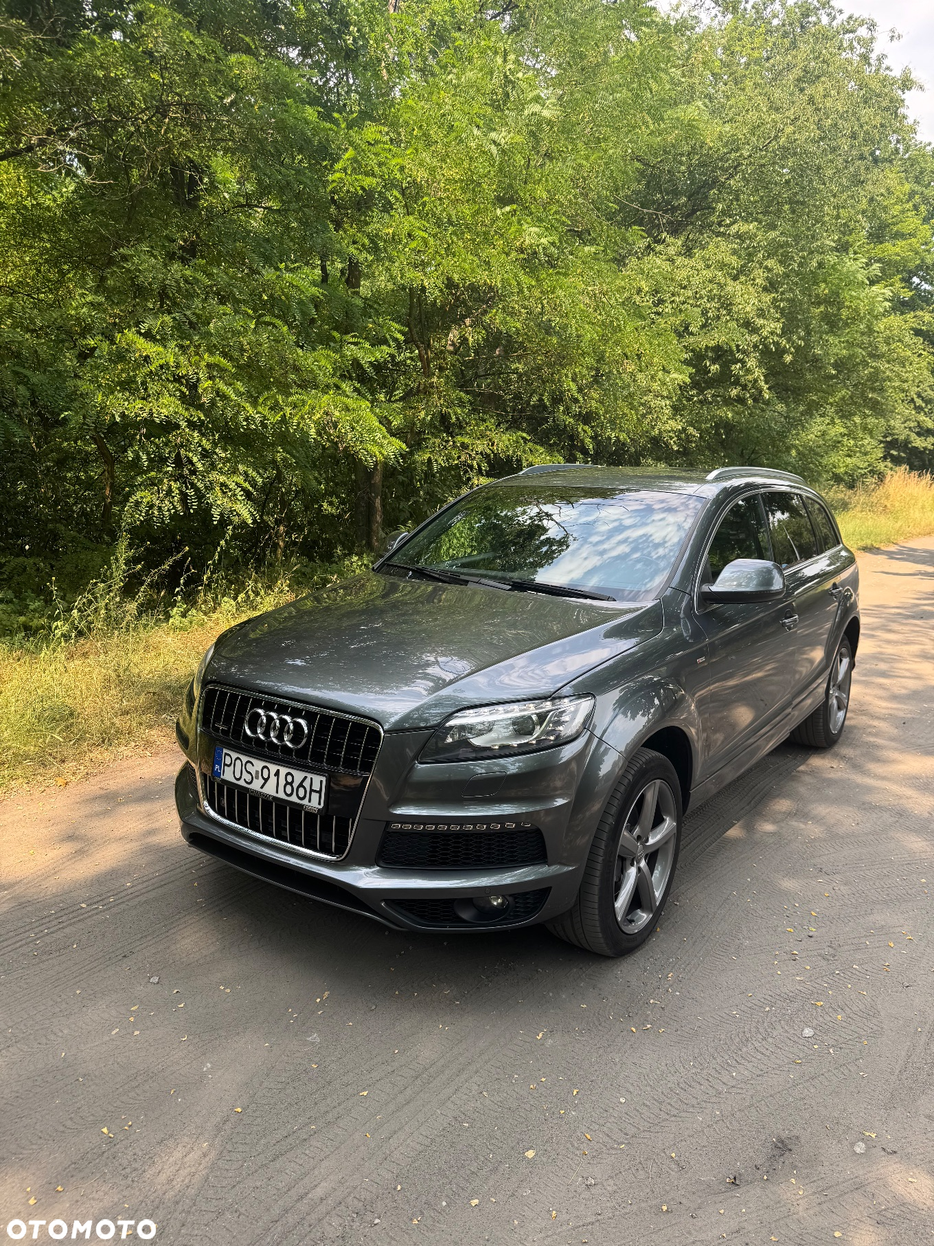 Audi Q7 3.0 TDI DPF Quattro Tiptronic - 3
