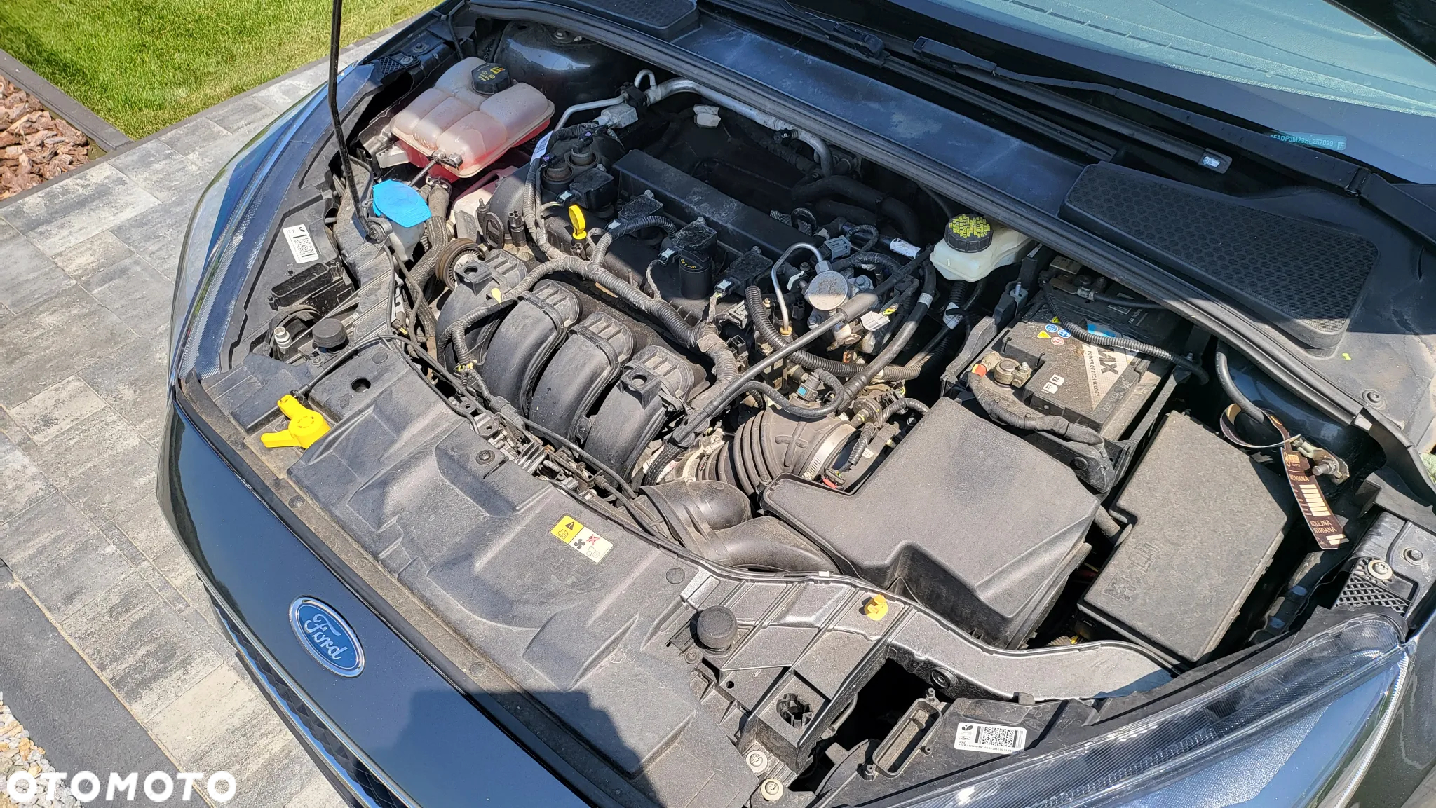 Ford Focus - 39