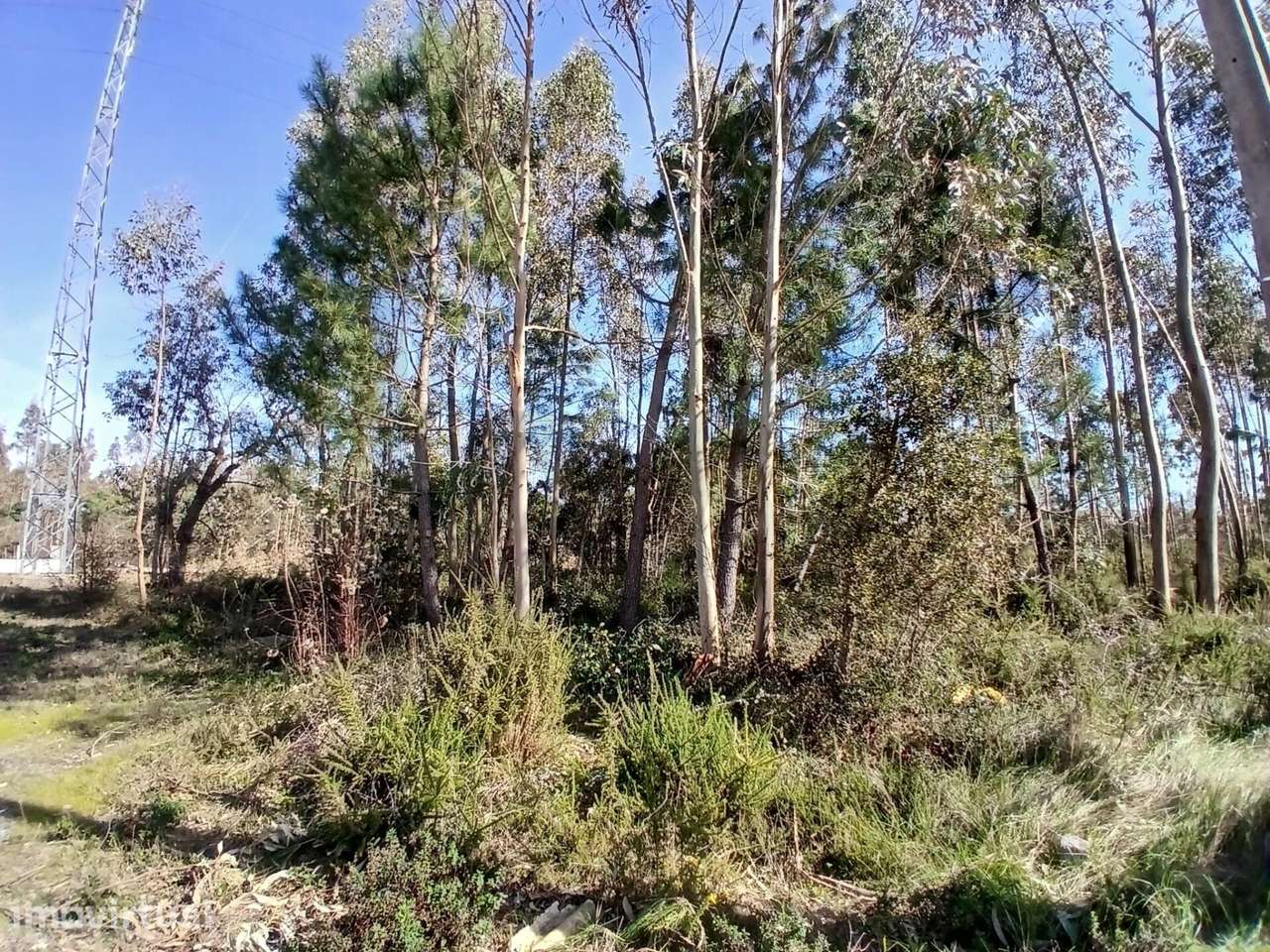 ​​​​​​​​​​​​​​Terreno com 6.970 m2 na Pedrulheira – Marinha Grande - Grande imagem: 2/21