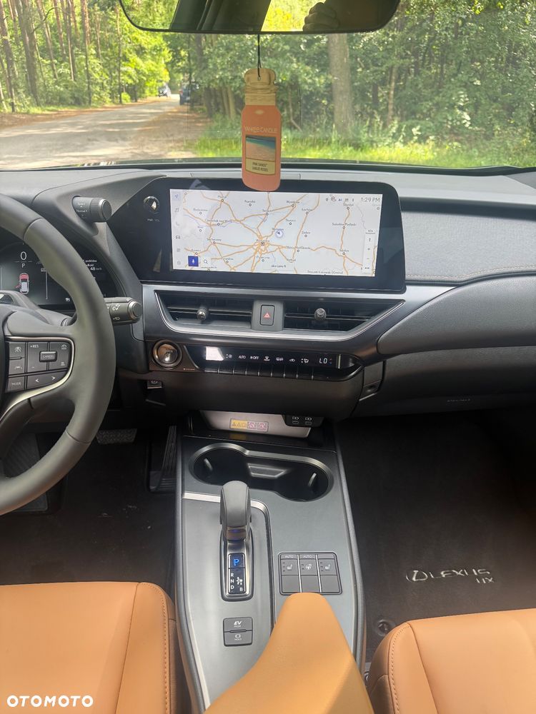 Lexus UX 300h F Sport AWD - 10