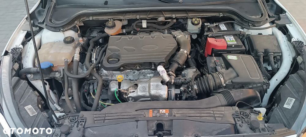 Ford Focus - 32