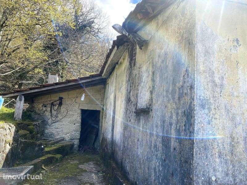 Moradia T3, Vieira do Minho - Grande imagem: 2/5