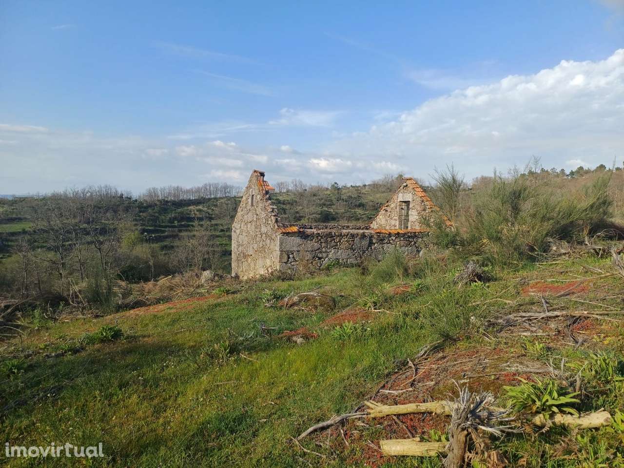 Quinta  Venda em Linhares,Celorico da Beira - Grande imagem: 2/22