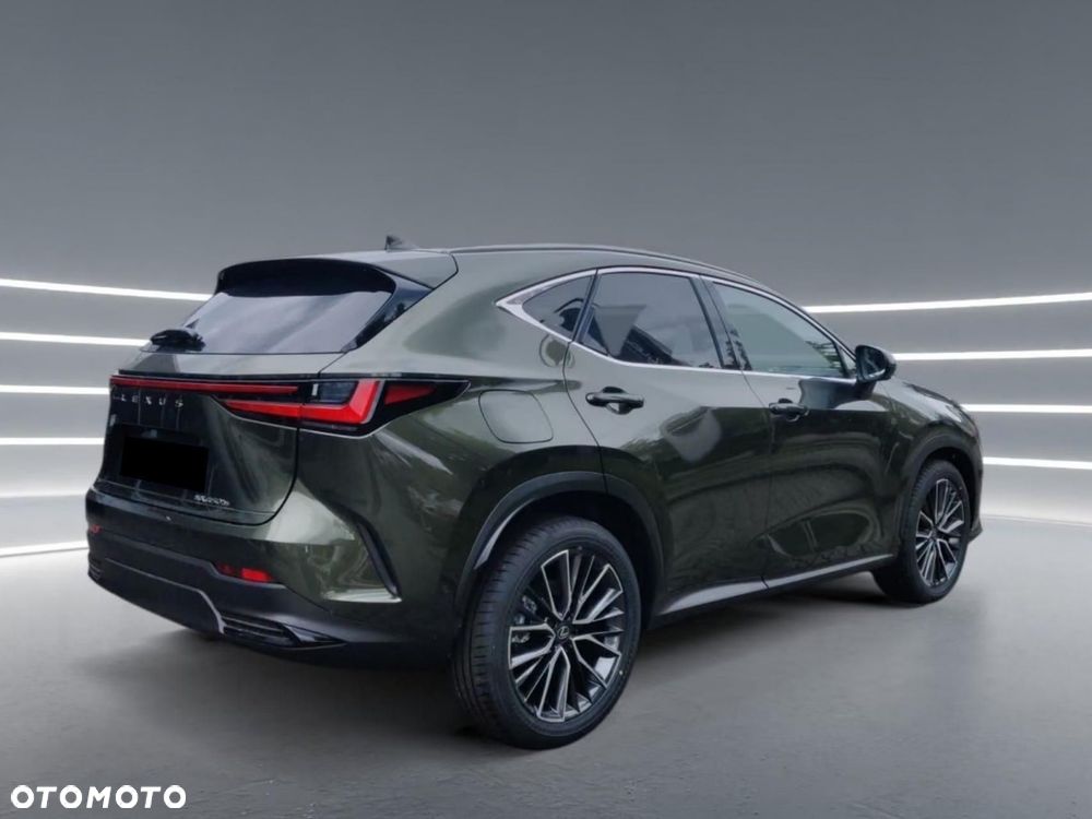 Lexus NX - 6