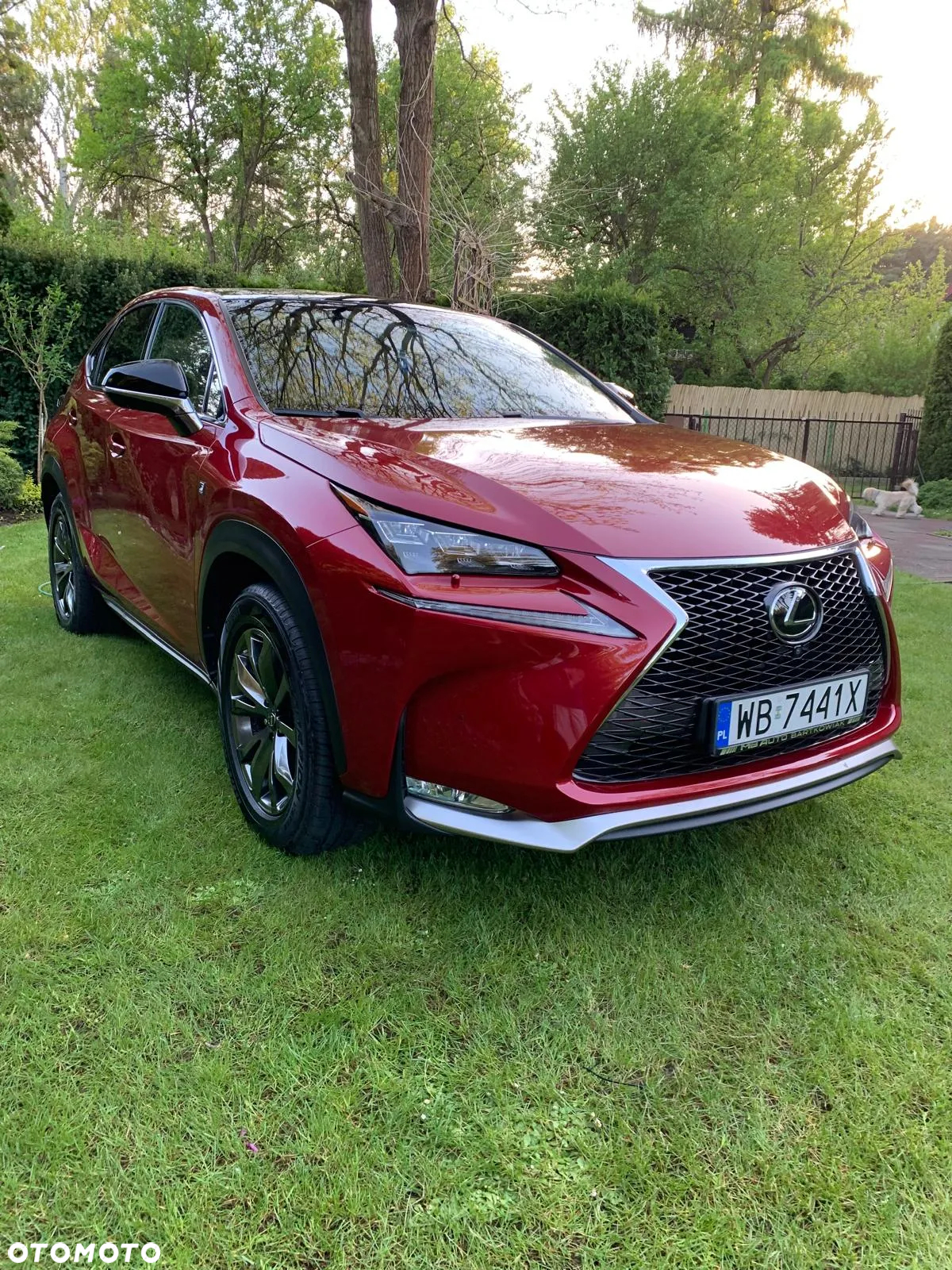 Lexus NX 200t F Sport AWD - 22