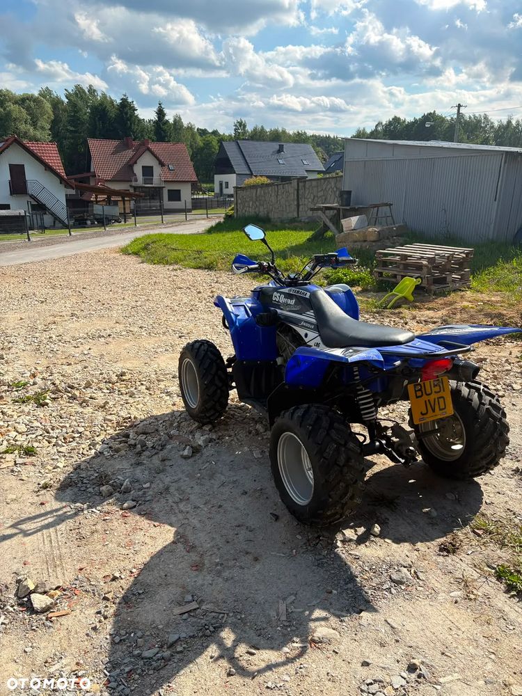 Yamaha Wolverine - 10