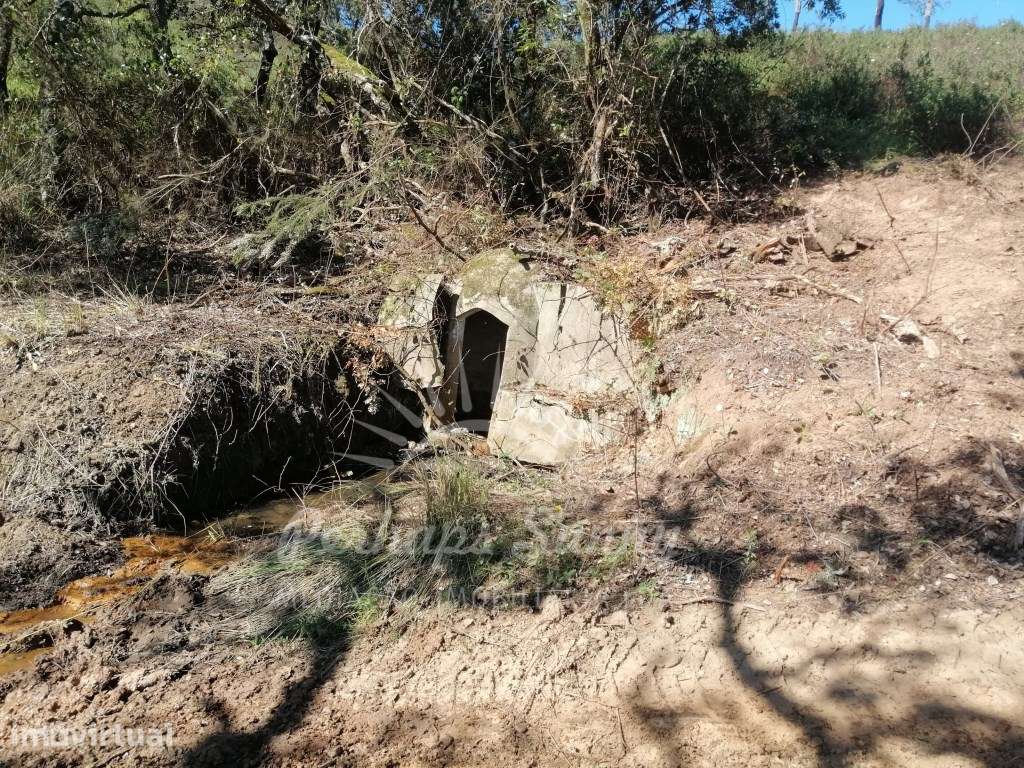 Propriedade Mista - Serra de Grândola- Melides - Grande imagem: 4/27