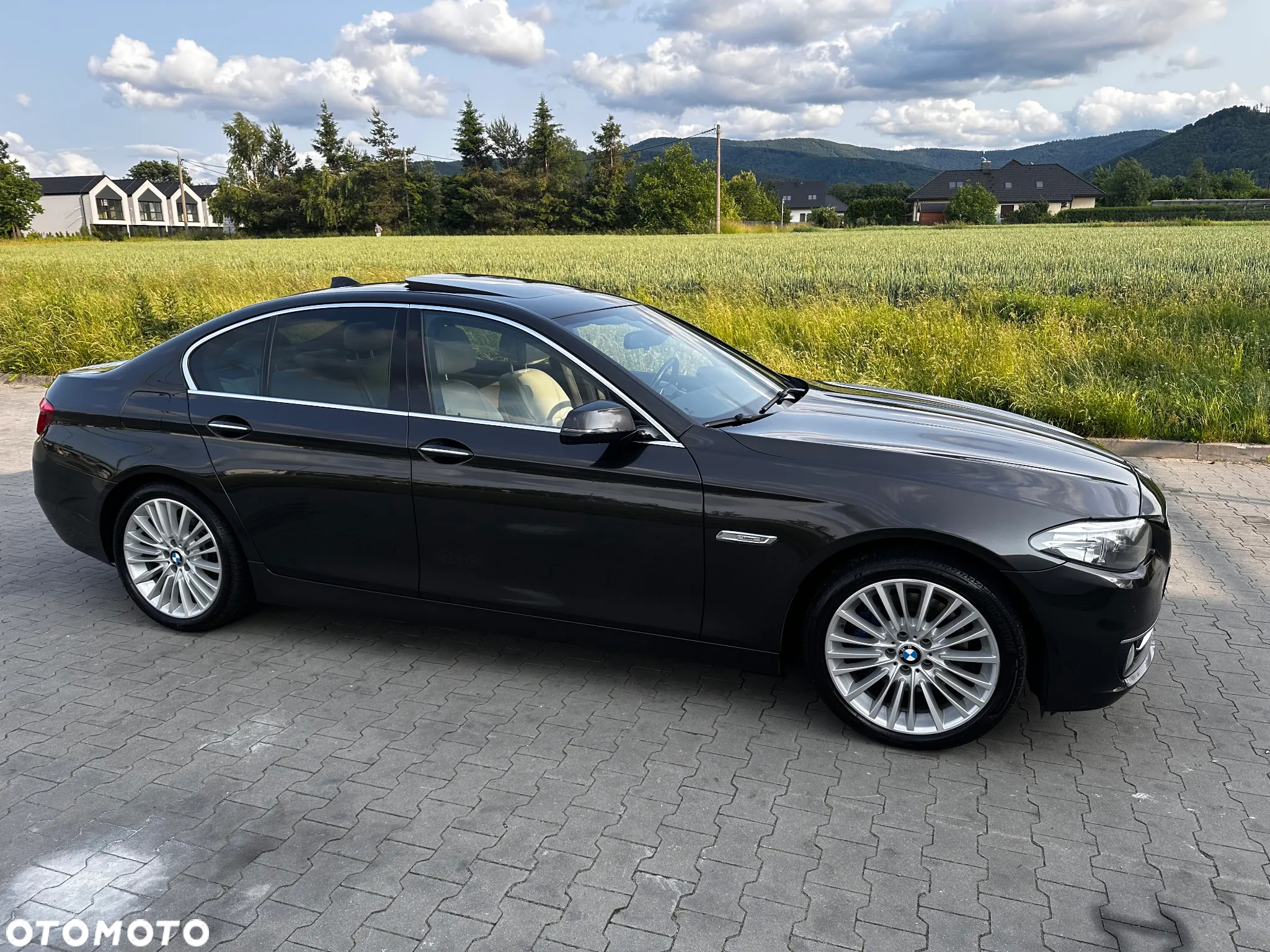 BMW Seria 5 525d xDrive Luxury Line - 6