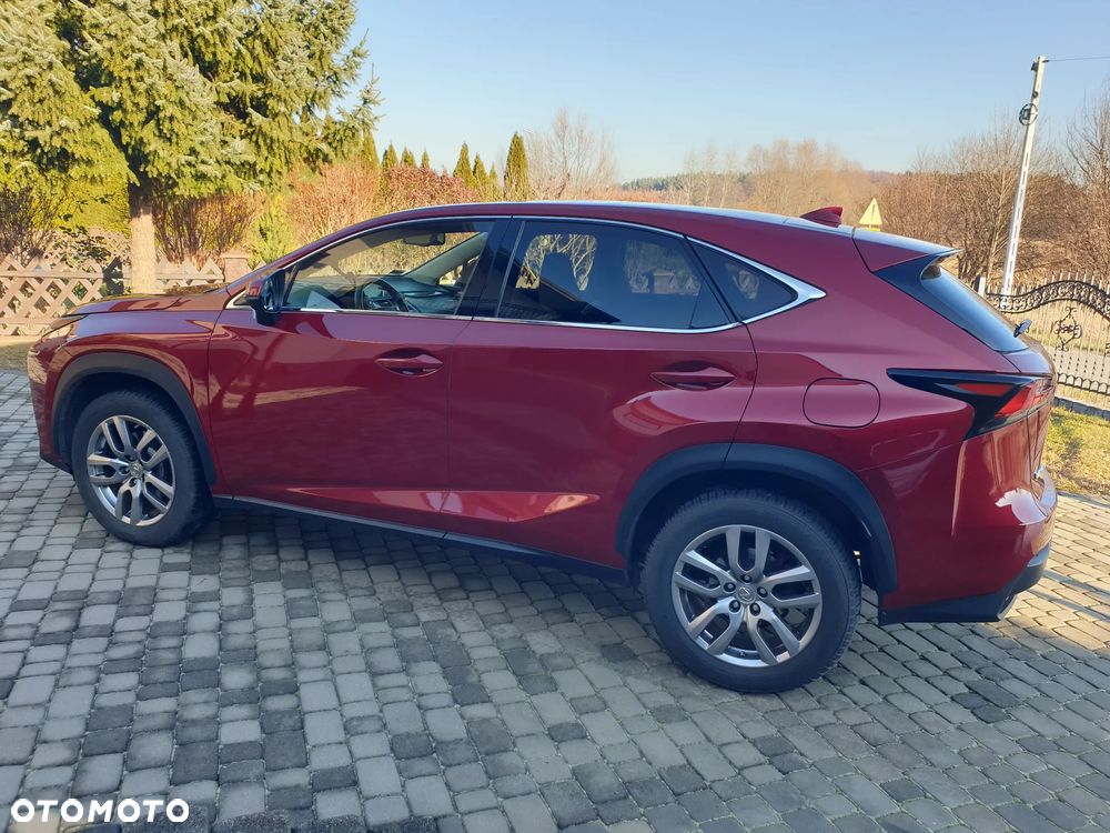 Lexus NX - 1