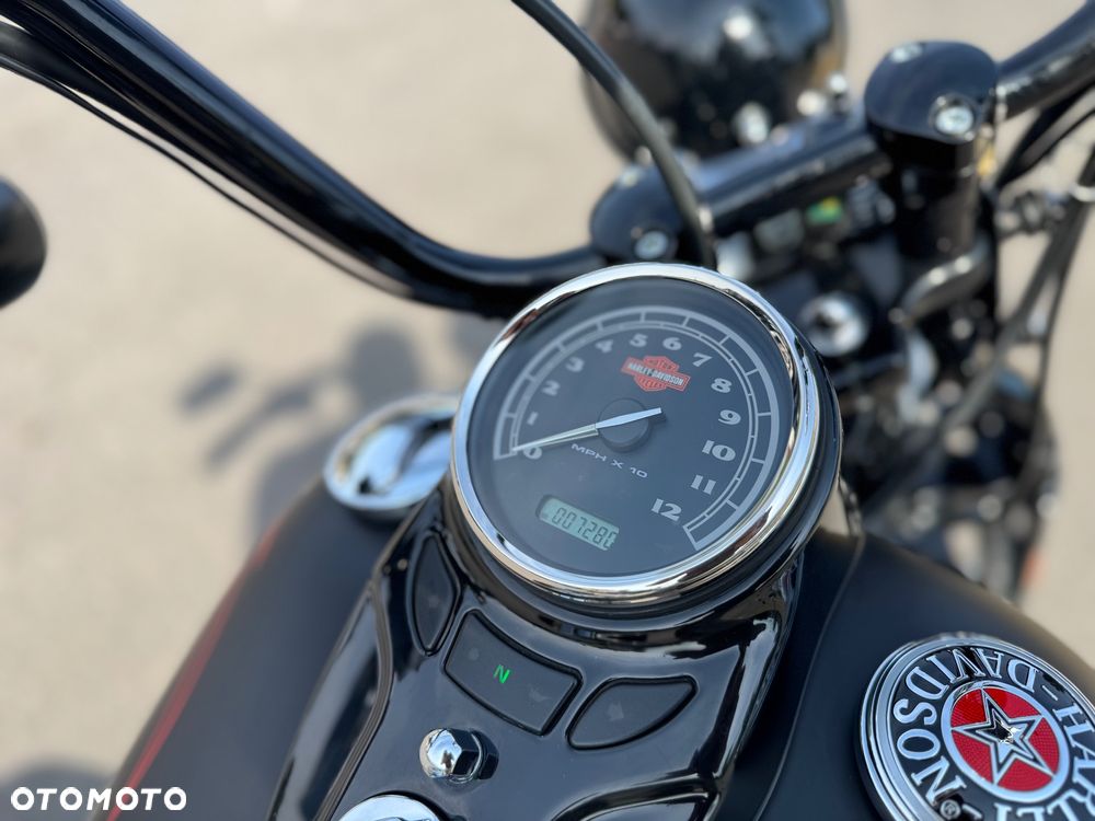 Harley-Davidson Softail Cross Bones - 9