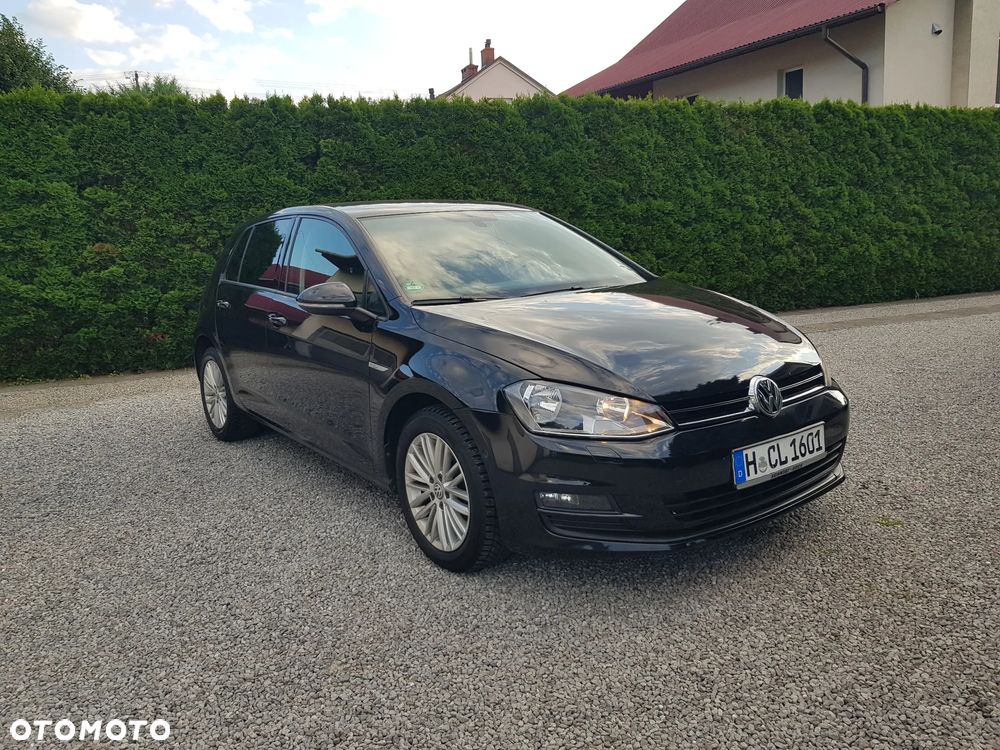 Volkswagen Golf 1.6 TDI BlueMotion Technology Cup - 5