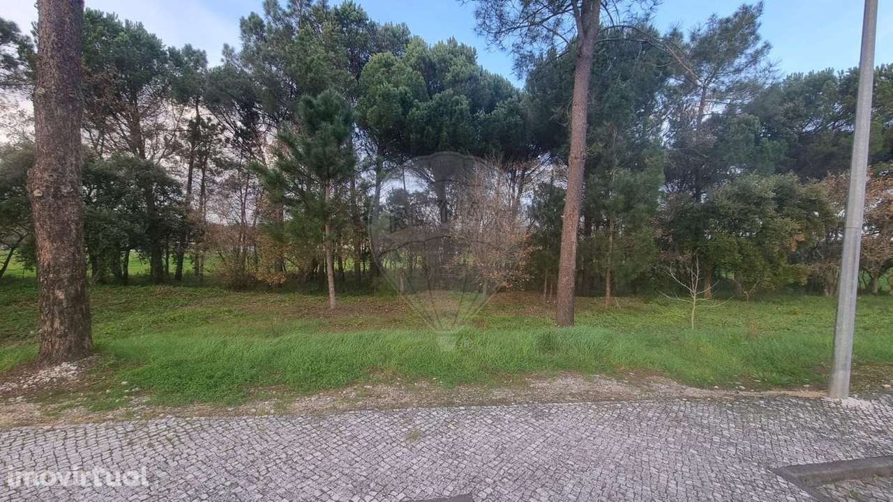 Terreno  para venda - Grande imagem: 4/4