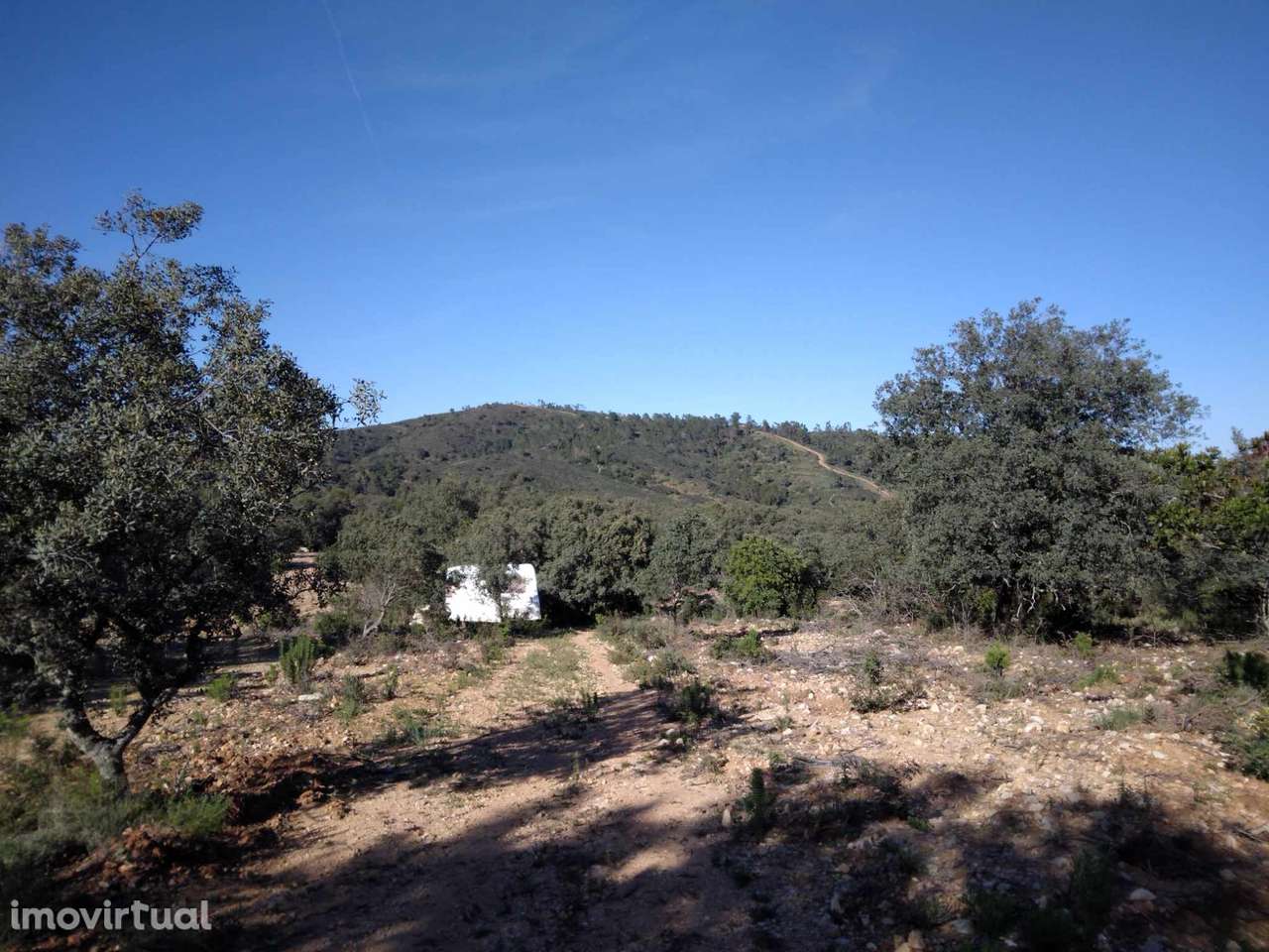 Terreno nos arredores de São Brás de Alportel - Grande imagem: 2/9