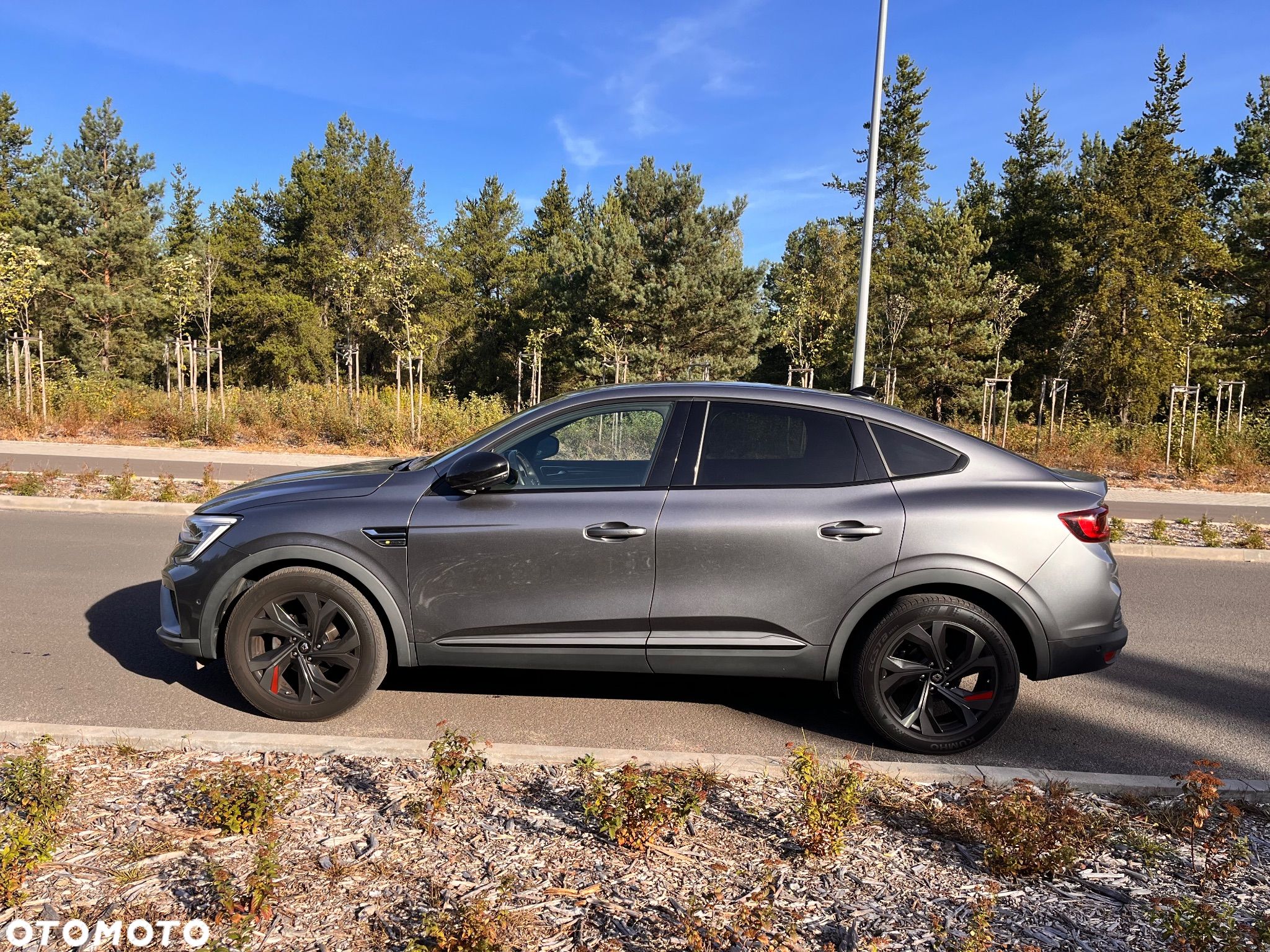 Renault Arkana - 1