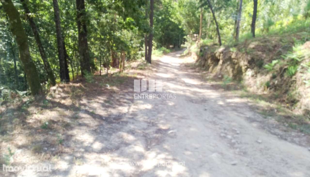 Venda de Quinta V2 para restauro, Caires, Amares - Grande imagem: 2/24