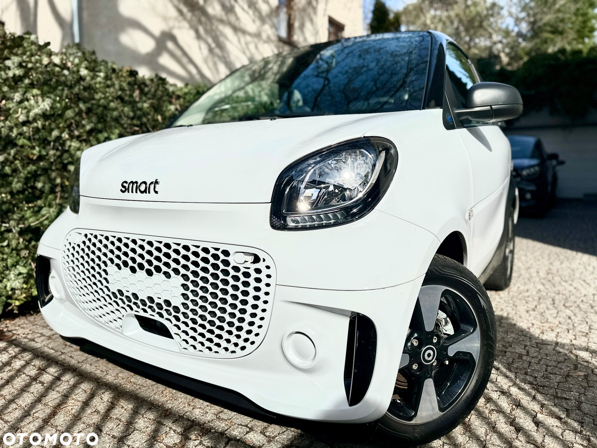 Smart Fortwo coupe EQ - 2